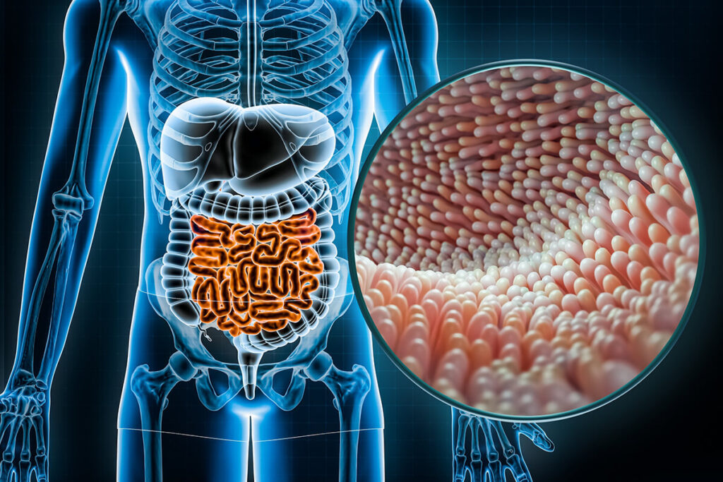 Gut Microbiome